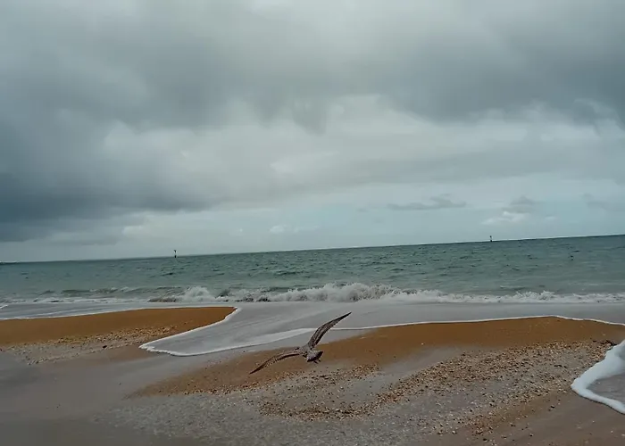 Mobil Premium Parque de Campismo *